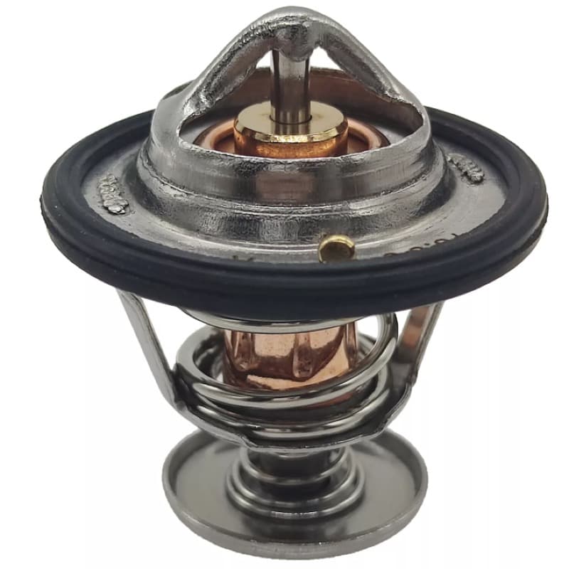 Termostato motor